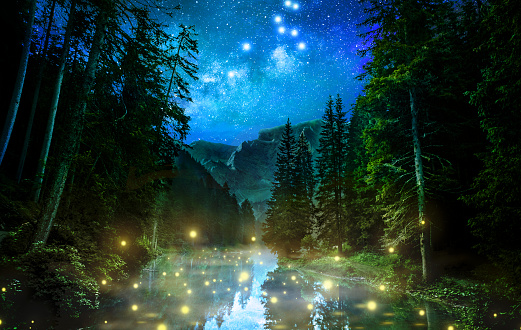 fire flies on a lake